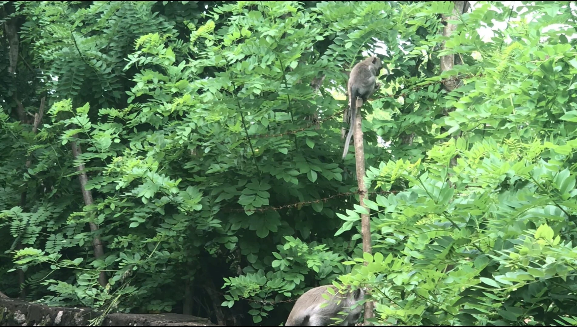 2018-Bali Island-Bali eiland-巴厘岛